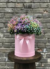 Цветочная композиция из Гипсофила и Розы в шляпной коробке #REPLACE_PRED# Частые