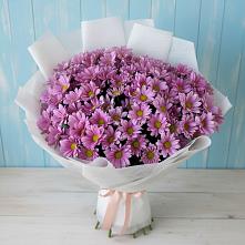 Букет цветов из:  Хризантемы в Частые