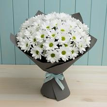 Букет цветов из:  Хризантемы в Частые