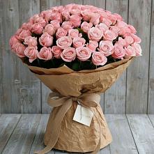 Букет 151 Роза Роуз #REPLACE_PRED# Частые