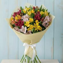 Букет цветов из:  Альстромерии #REPLACE_PRED# Частые