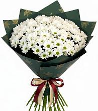 Букет цветов из:  Хризантемы #REPLACE_PRED# Частые