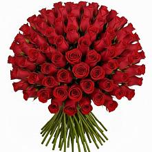 Букет Красные розы Чери Лав #REPLACE_PRED# Частые