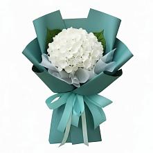 Букет цветов из:  Гортензия в Частые